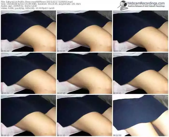 sakuralivejp-vwwmariwwv-public-show-02_17_2015-02_50_50