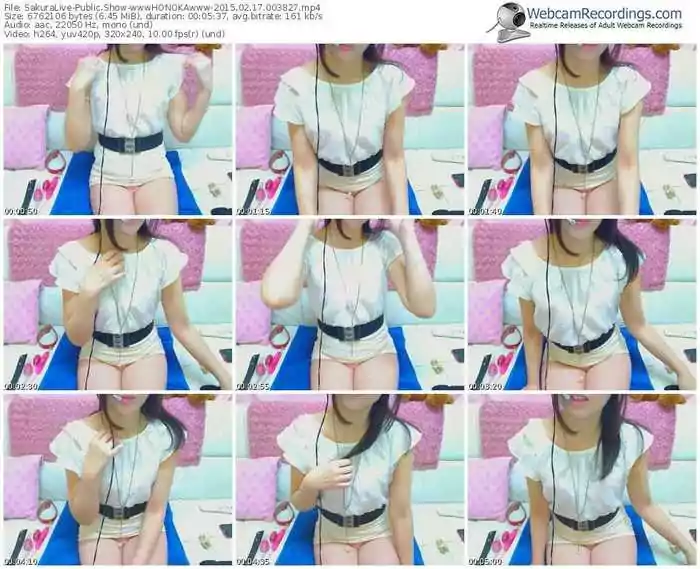 sakuralivejp-wwwhonokawww-public-show-02_17_2015-00_38_27