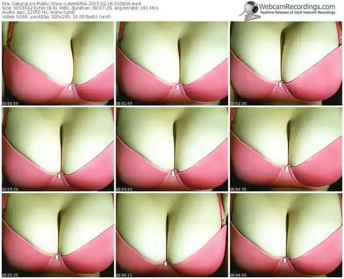 sakuralivejp-cutemaria-public-show-02_18_2015-01_08_04