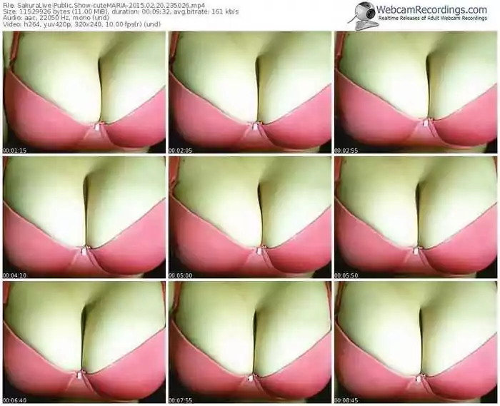 sakuralivejp-cutemaria-public-show-02_20_2015-23_50_26