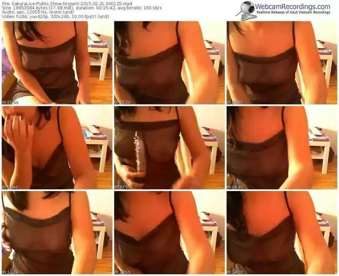 sakuralivejp-nissany-public-show-02_21_2015-09_01_25