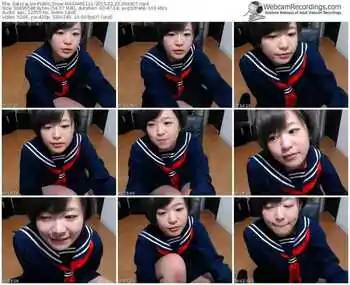 sakuralivejp-masami1111-public-show-02_22_2015-09_49_07