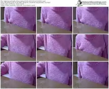 sakuralivejp-satomi1124-public-show-02_22_2015-14_22_11