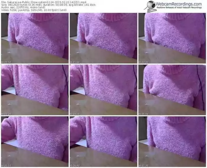 sakuralivejp-satomi1124-public-show-02_22_2015-14_22_11