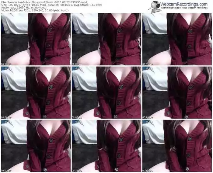 sakuralivejp-zzvrenvzz-public-show-02_22_2015-03_39_35