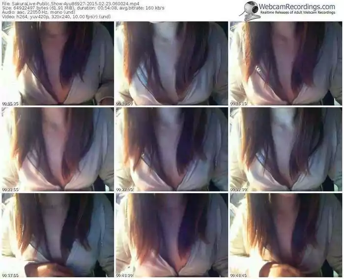 sakuralivejp-ayu86927-public-show-02_23_2015-06_00_24