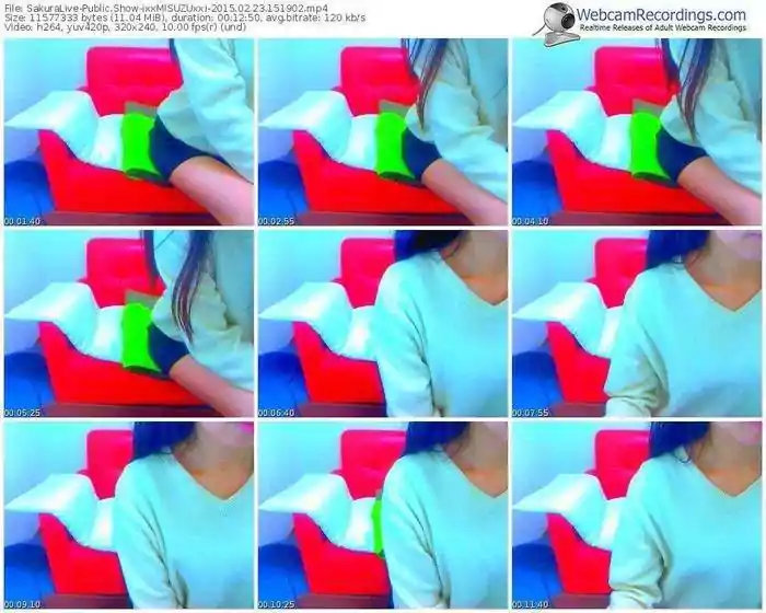 sakuralivejp-ixxmisuzuxxi-public-show-02_23_2015-15_19_02