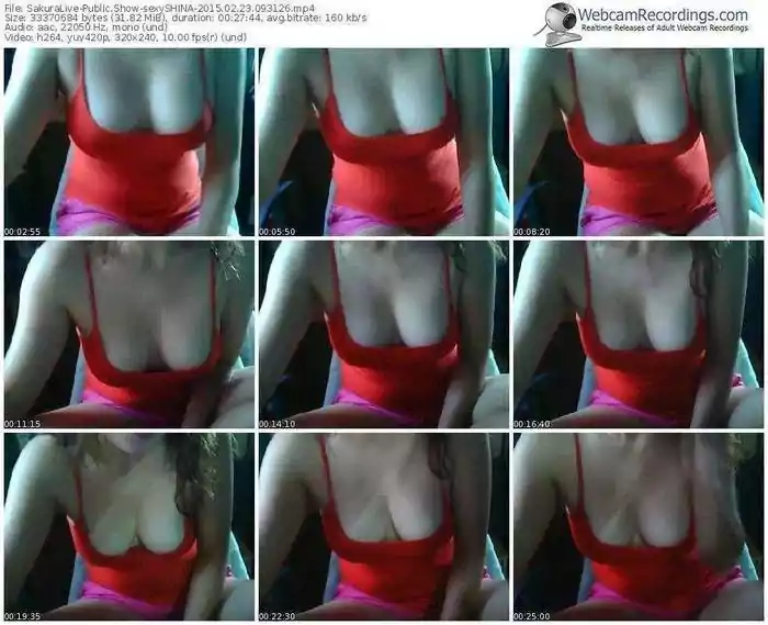 sakuralivejp-sexyshina-public-show-02_23_2015-09_31_26