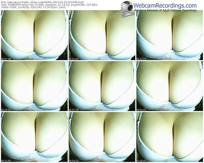 sakuralivejp-cutemaria-public-show-04_04_2015-01_04_49