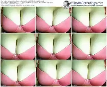 sakuralivejp-cutemaria-public-show-04_08_2015-22_22_36