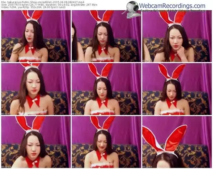 sakuralivejp-incredible1-public-show-04_08_2015-08_24_27