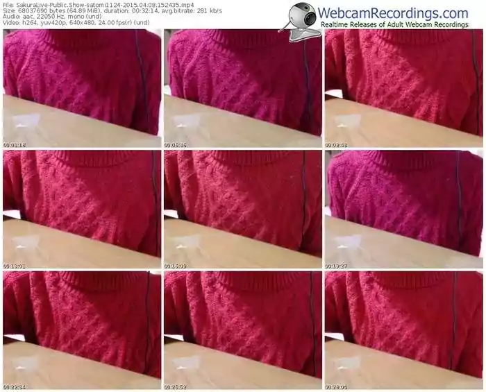 sakuralivejp-satomi1124-public-show-04_08_2015-15_24_35