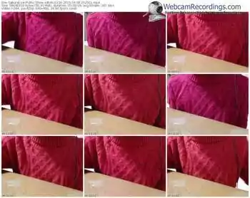 sakuralivejp-satomi1124-public-show-04_08_2015-15_25_01