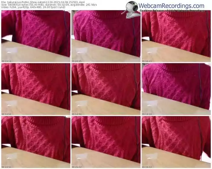 sakuralivejp-satomi1124-public-show-04_08_2015-15_25_01