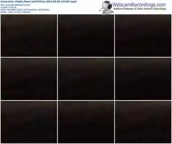 sakuralivejp-uunenenn-public-show-04_08_2015-22_16_07