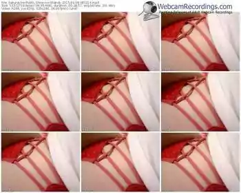 sakuralivejp-xxxshandy-public-show-04_08_2015-08_52_14