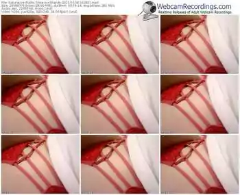 sakuralivejp-xxxshandy-public-show-04_08_2015-10_28_21