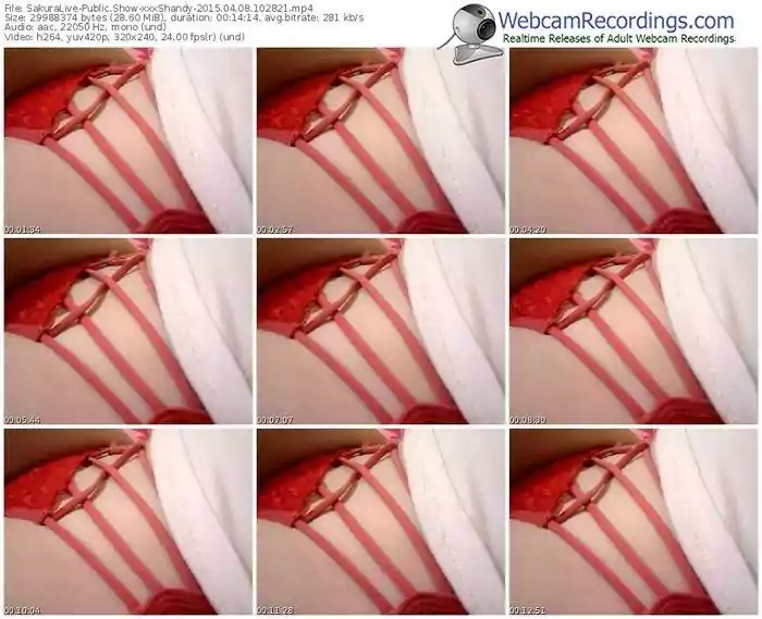 sakuralivejp-xxxshandy-public-show-04_08_2015-10_28_21