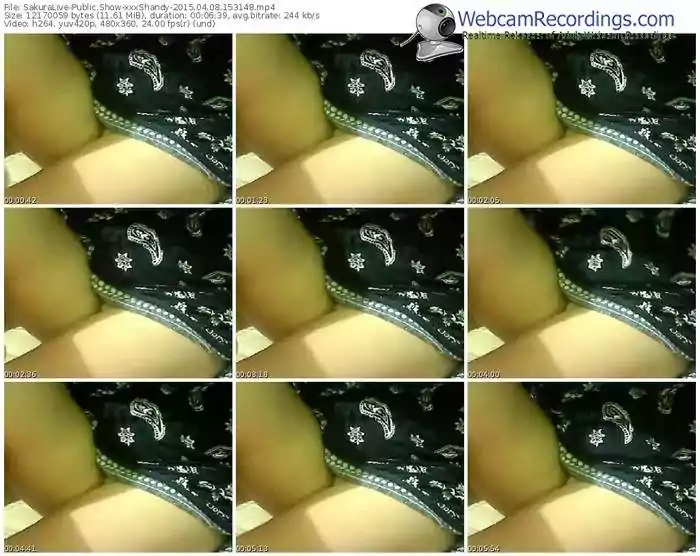 sakuralivejp-xxxshandy-public-show-04_08_2015-15_31_48