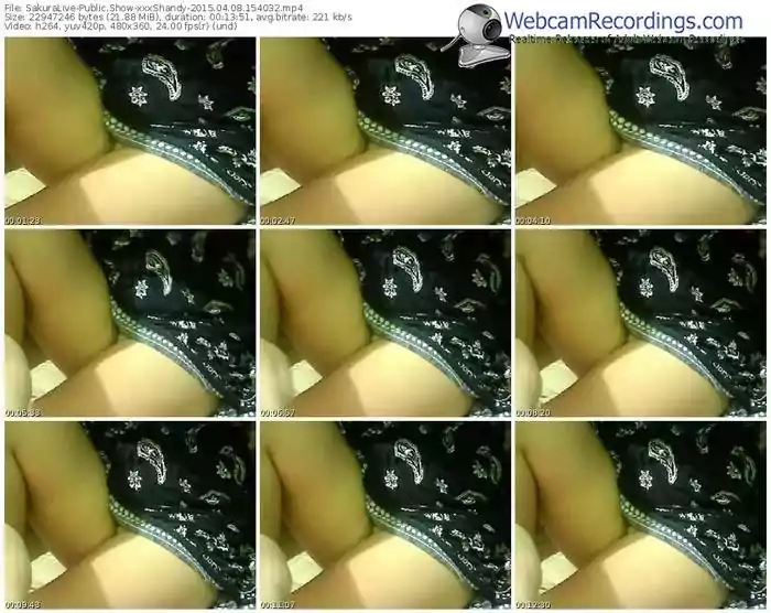 sakuralivejp-xxxshandy-public-show-04_08_2015-15_40_32