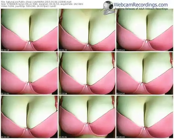 sakuralivejp-cutemaria-public-show-04_09_2015-10_28_46