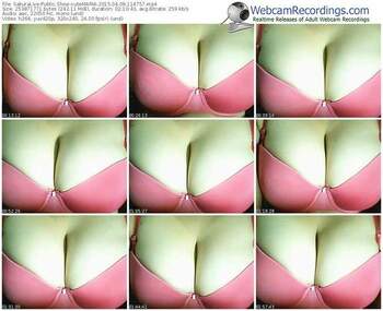 sakuralivejp-cutemaria-public-show-04_09_2015-11_47_57