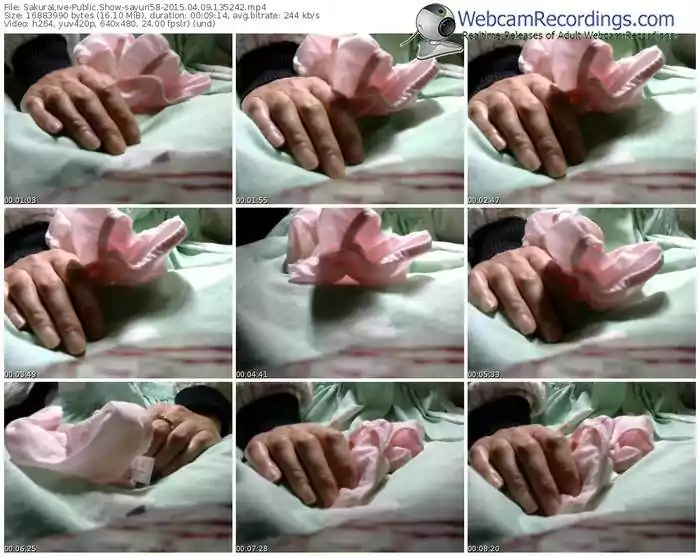 sakuralivejp-sayuri58-public-show-04_09_2015-13_52_42