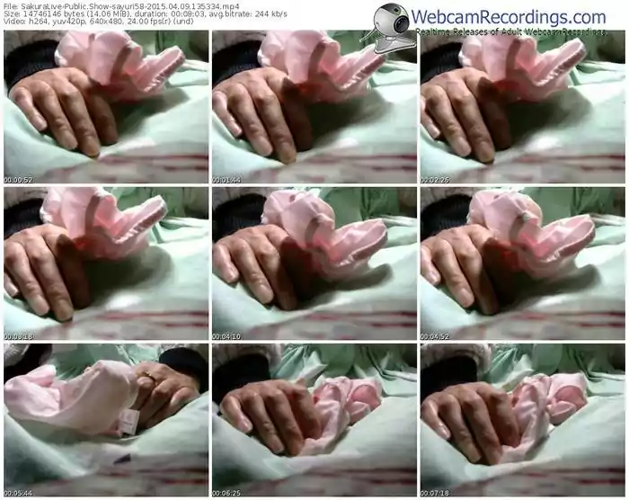 sakuralivejp-sayuri58-public-show-04_09_2015-13_53_34