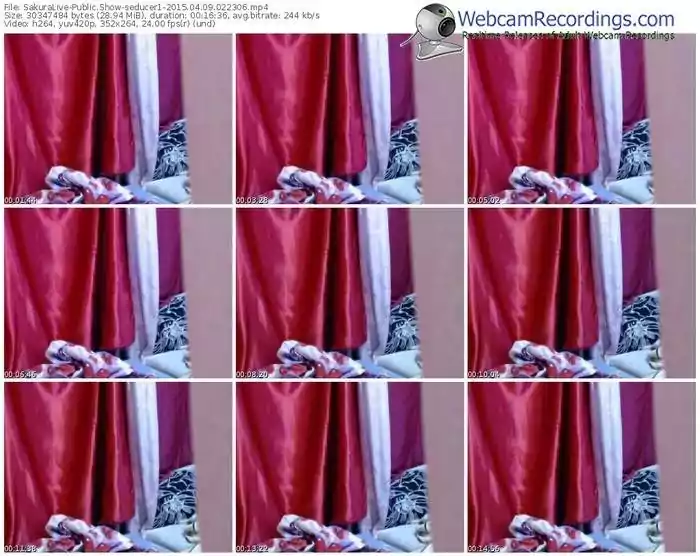 sakuralivejp-seducer1-public-show-04_09_2015-02_23_06