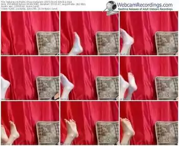 sakuralivejp-seducer1-public-show-04_09_2015-03_53_14