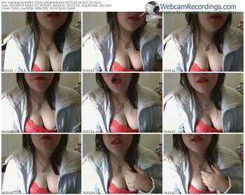 sakuralivejp-shitaketakeda-public-show-04_09_2015-02_57_23