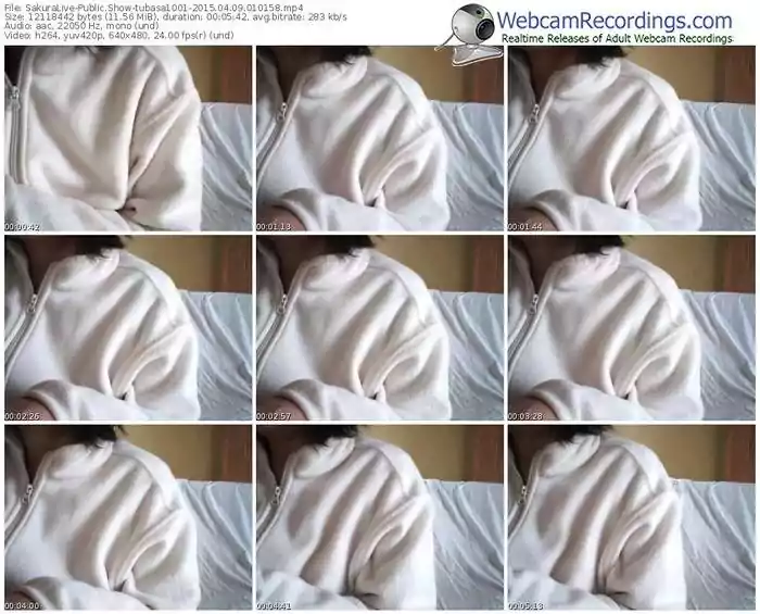 sakuralivejp-tubasa1001-public-show-04_09_2015-01_01_58