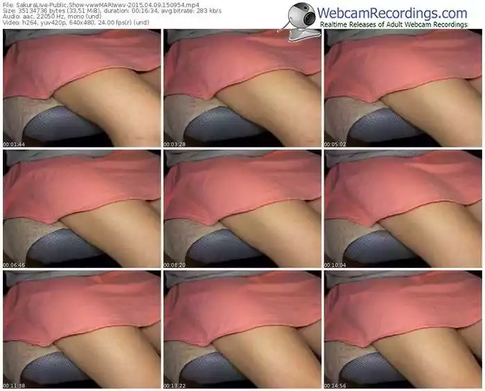 sakuralivejp-vwwmariwwv-public-show-04_09_2015-15_09_54