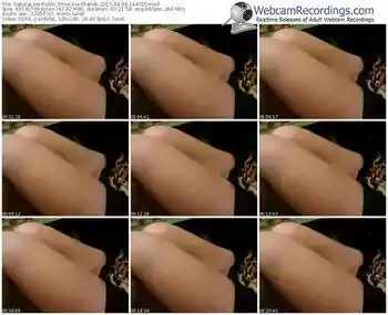 sakuralivejp-xxxshandy-public-show-04_09_2015-14_40_30