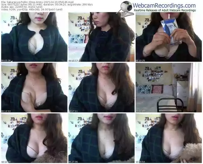 sakuralivejp-anmy-public-show-04_10_2015-05_41_46