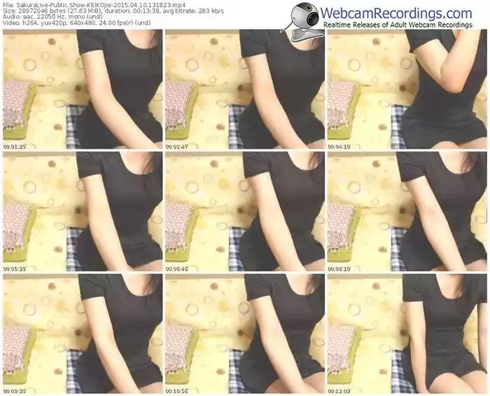 sakuralivejp-keikojie-public-show-04_10_2015-13_18_23