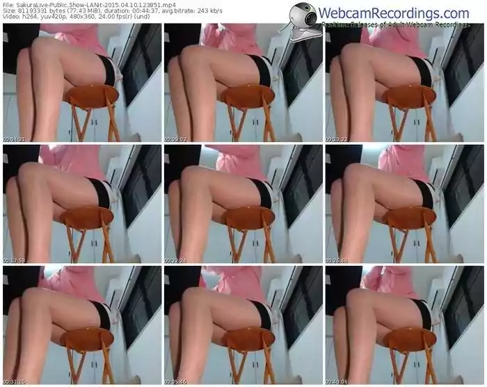 sakuralivejp-lanit-public-show-04_10_2015-12_38_51