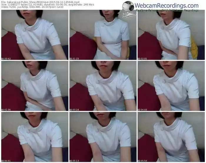 sakuralivejp-reikoeve-public-show-04_10_2015-14_56_44