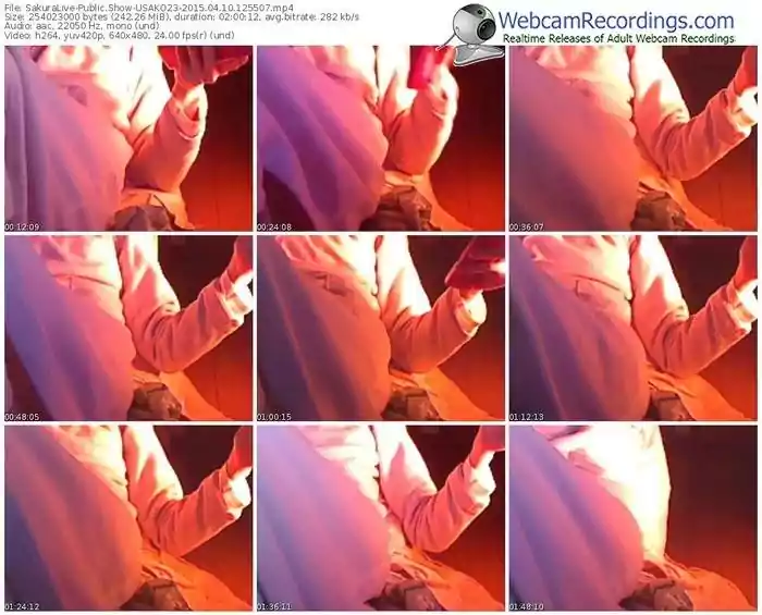 sakuralivejp-usako23-public-show-04_10_2015-12_55_07