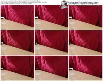 sakuralivejp-satomi1124-public-show-04_10_2015-13_00_32