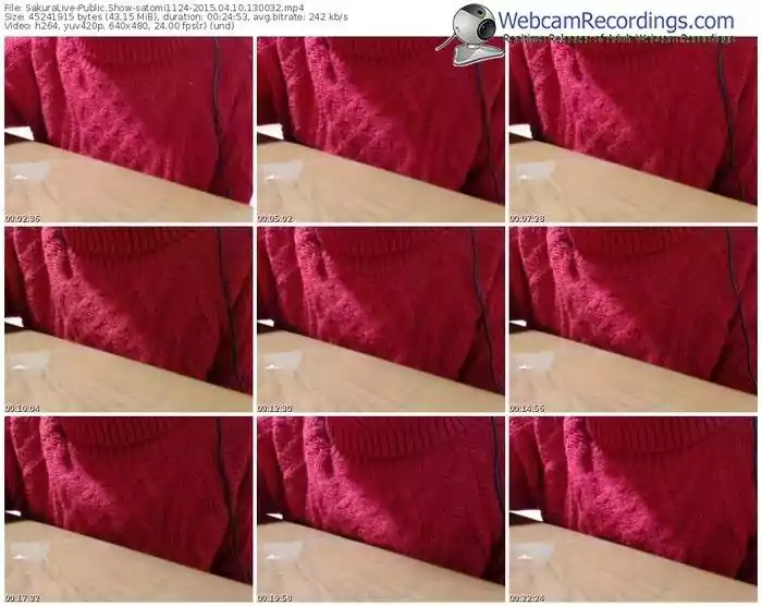 sakuralivejp-satomi1124-public-show-04_10_2015-13_00_32