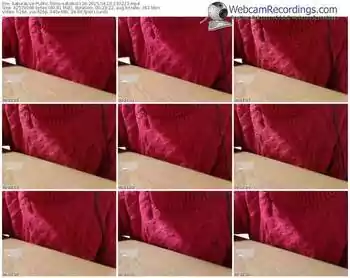 sakuralivejp-satomi1124-public-show-04_10_2015-13_02_23