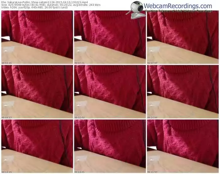 sakuralivejp-satomi1124-public-show-04_10_2015-13_02_23