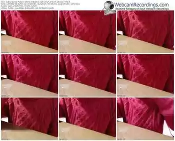 sakuralivejp-satomi1124-public-show-04_10_2015-15_41_17