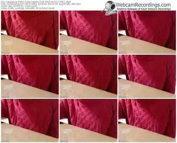 sakuralivejp-satomi1124-public-show-04_10_2015-17_35_17