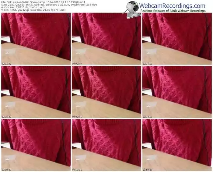 sakuralivejp-satomi1124-public-show-04_10_2015-17_37_08
