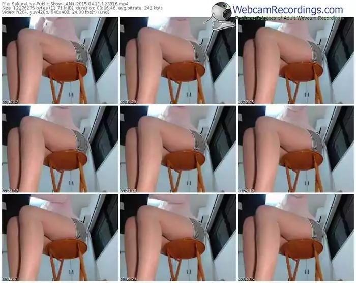 sakuralivejp-lanit-public-show-04_11_2015-12_33_16