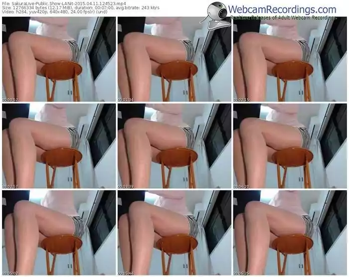 sakuralivejp-lanit-public-show-04_11_2015-12_45_23