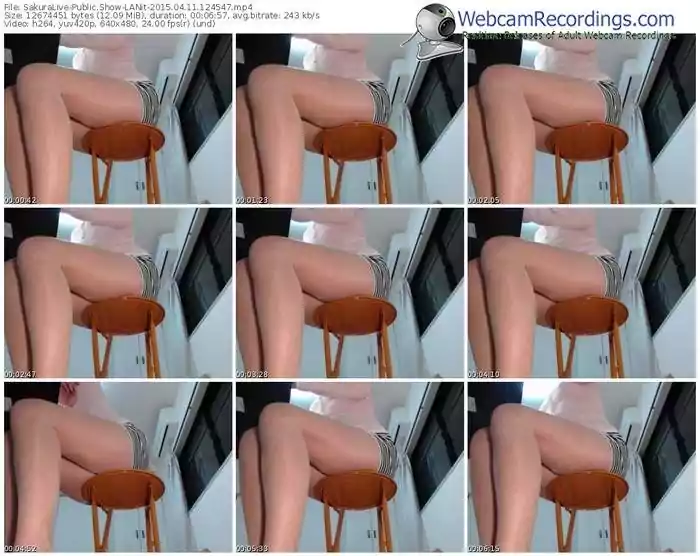 sakuralivejp-lanit-public-show-04_11_2015-12_45_47