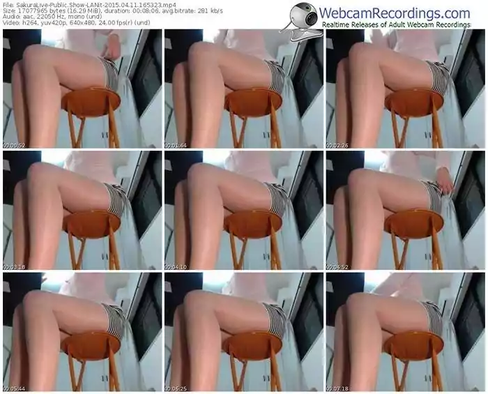 sakuralivejp-lanit-public-show-04_11_2015-16_53_23